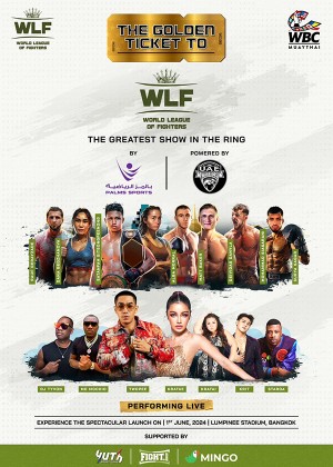 World League of Fighters