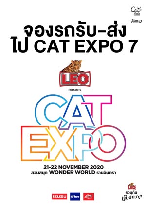 CAT EXPO 7