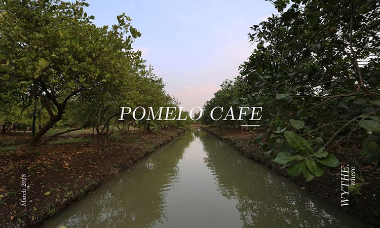 Pomelo Cafe' คาเฟ่ในสวนส้มโอ อ.นครชัยศรี จ.นครปฐม