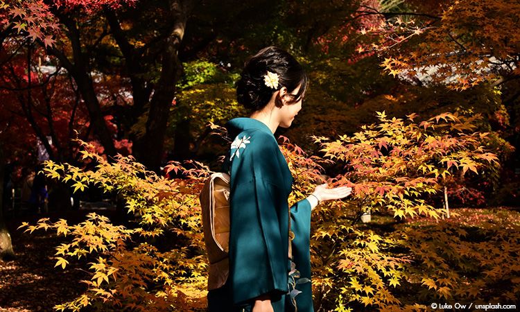 วางแผนเที่ยวญี่ปุ่น ด้วยพยากรณ์ใบไม้เปลี่ยนสี ประจำปี 2019