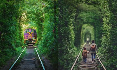อุโมงค์แห่งความรัก (Tunnel of Love) ประเทศยูเครน สวยสะกดใจเหมือนอยู่ในเทพนิยาย!