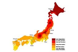 คาดการณ์ช่วงเวลา ใบไม้เปลี่ยนสี ในประเทศญี่ปุ่น ประจำปี 2015