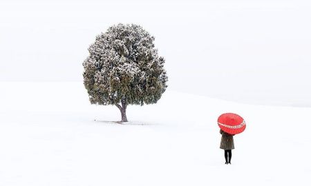 หนาวๆ เหงาๆ กับ One Tree Hill ต้นไม้โดดเดี่ยว ณ Olympic Park กรุงโซล ประเทศเกาหลีใต้